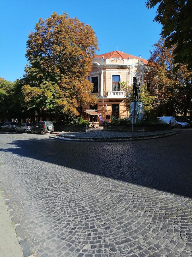 Kisfaludy Vendeghaz -Suemeg- Bagian luar foto